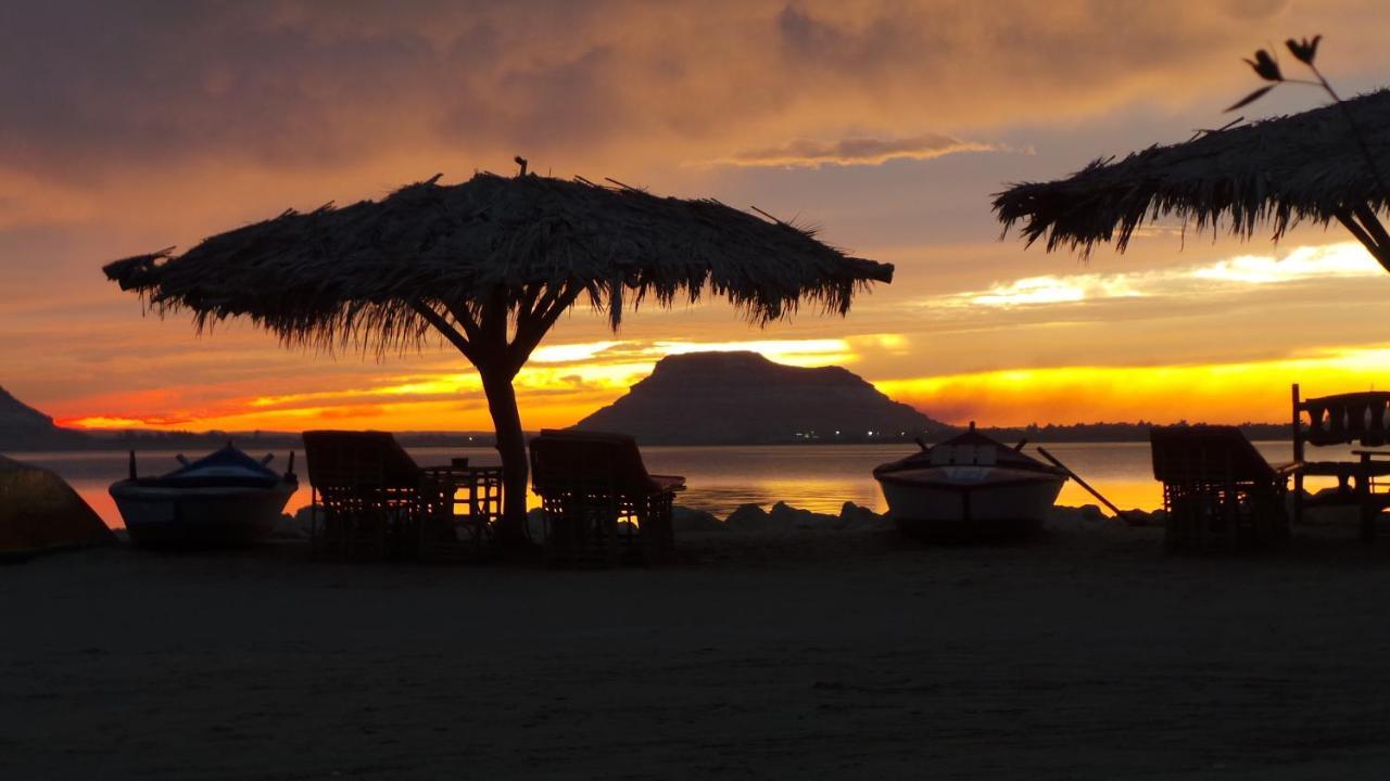 Siwa Oasis Taghaghien Island Resort מראה חיצוני תמונה