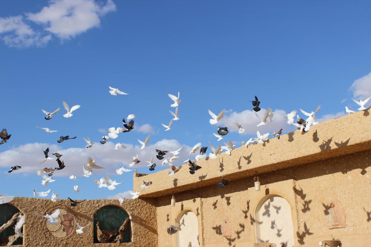Siwa Oasis Taghaghien Island Resort מראה חיצוני תמונה