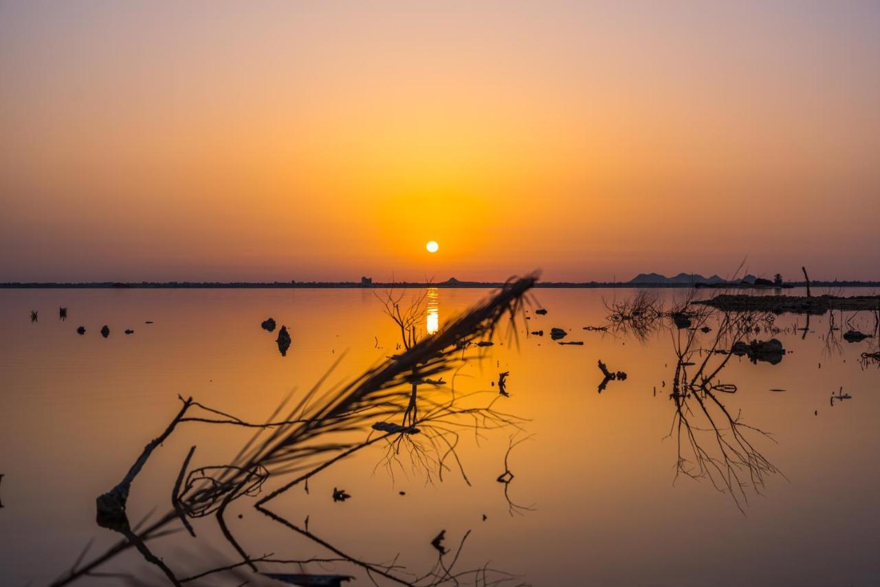 Siwa Oasis Taghaghien Island Resort מראה חיצוני תמונה