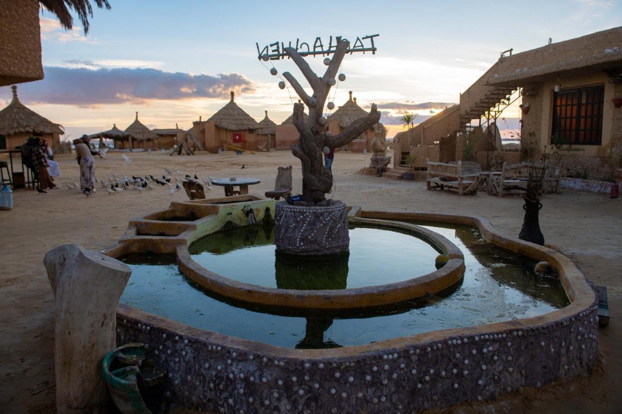 Siwa Oasis Taghaghien Island Resort מראה חיצוני תמונה