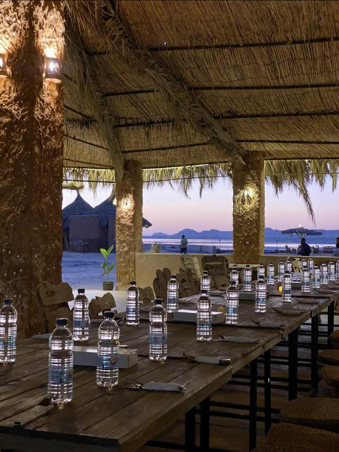 Siwa Oasis Taghaghien Island Resort מראה חיצוני תמונה